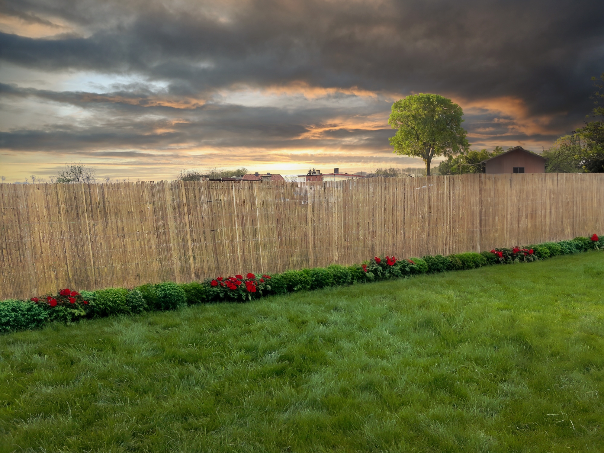 Mata osłonowa bambusowa 1,5x5m - obrazek 4