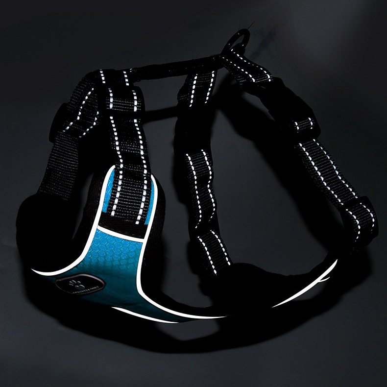 Szelki treningowe spacerowe dla psa ASTRO błękitne rozmiar L - obrazek 10