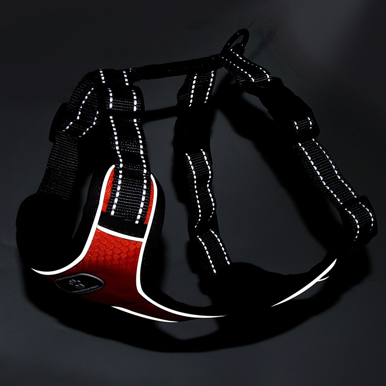 Szelki treningowe spacerowe dla psa ASTRO pomarańczowe rozmiar S - obrazek 10