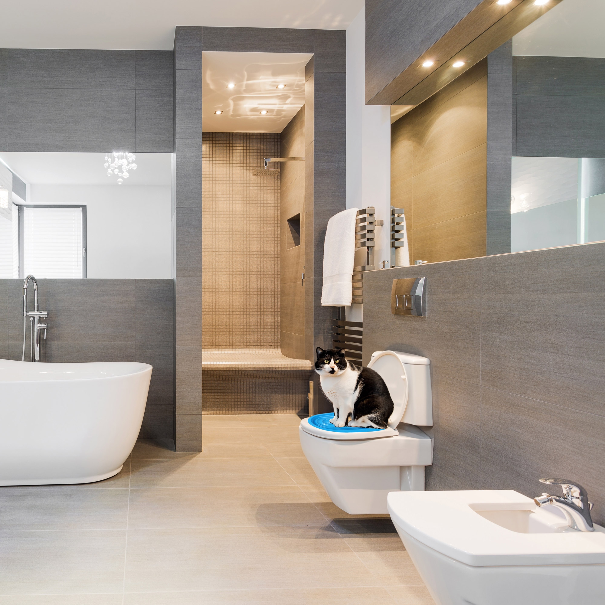 Nakładka na toaletę dla kota NILS niebieska - obrazek 3