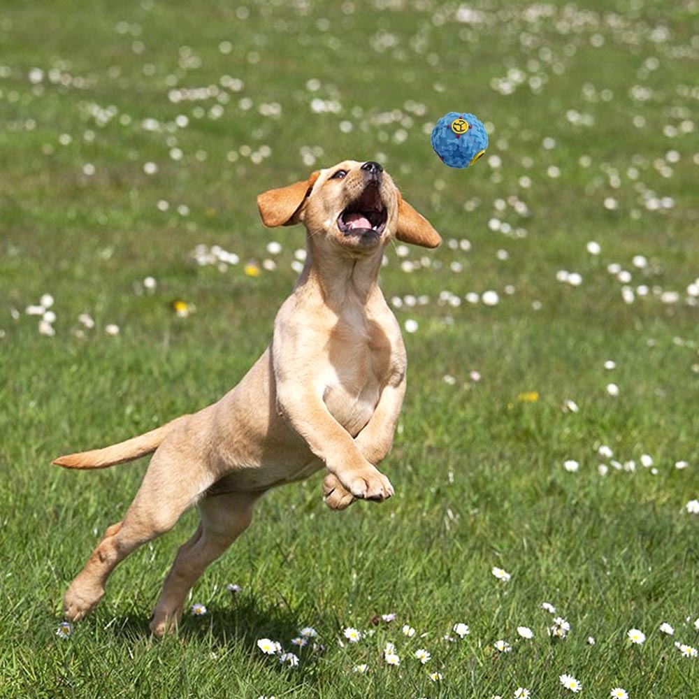 Zestaw 10 zabawek dla psa BALTO szarpaki - obrazek 6