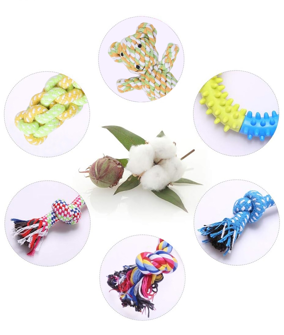 Zestaw 10 zabawek dla psa DYLAN szarpaki - obrazek 5