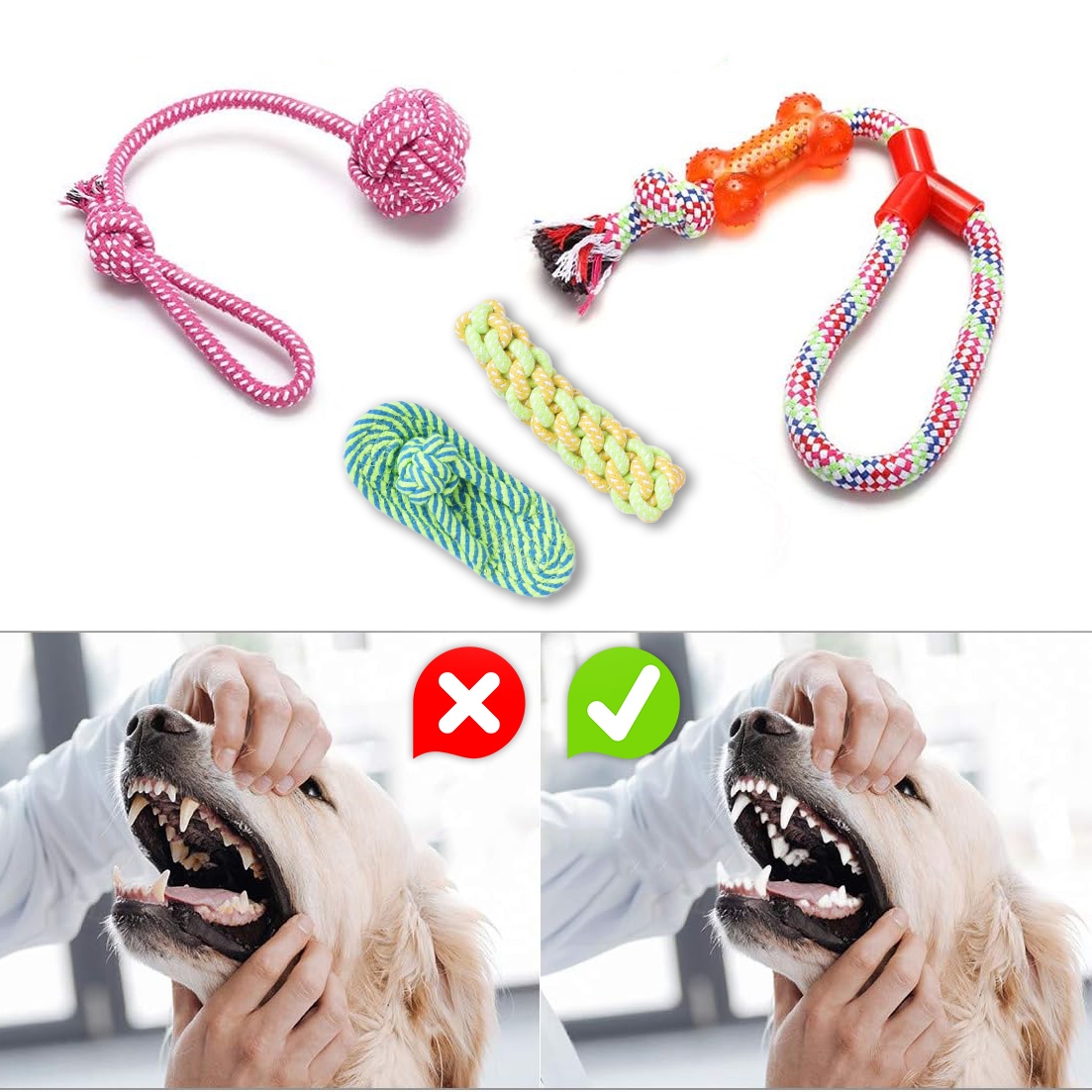 Zestaw 10 zabawek dla psa DYLAN szarpaki - obrazek 6