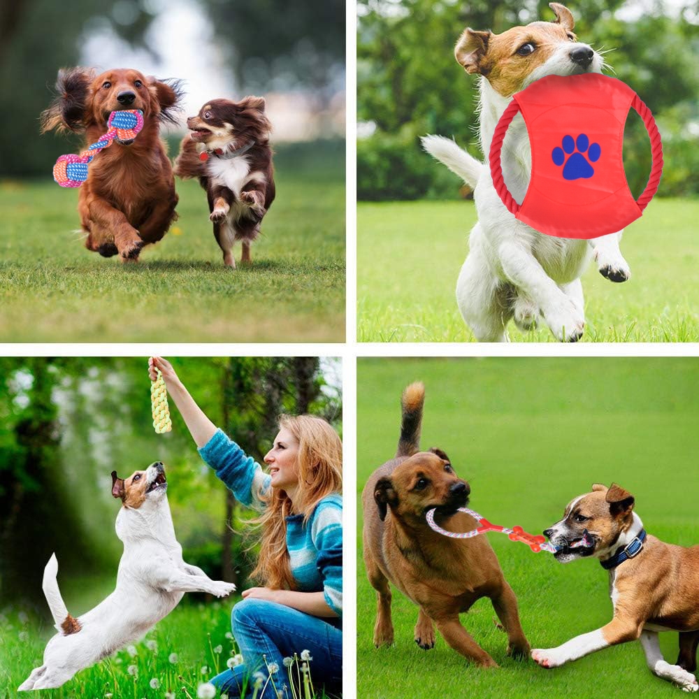 Zestaw 10 zabawek dla psa DYLAN szarpaki - obrazek 3