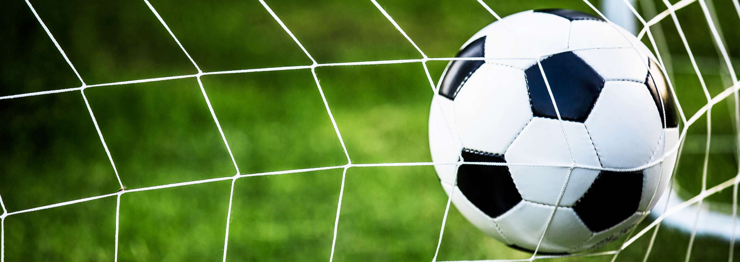 Zestaw dwóch bramek piłkarskich MAURO - obrazek 5