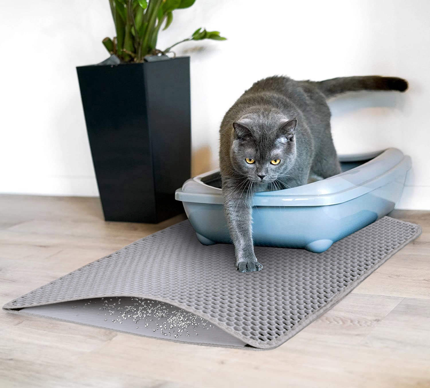 Mata dla kota wycieraczka Catsy 40x50 cm szara - obrazek 4