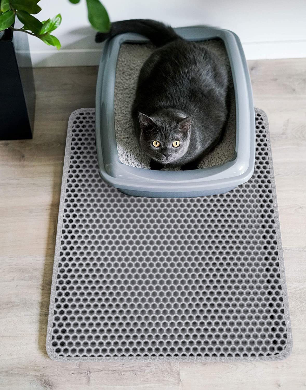 Mata dla kota wycieraczka Catsy 40x50 cm szara - obrazek 3