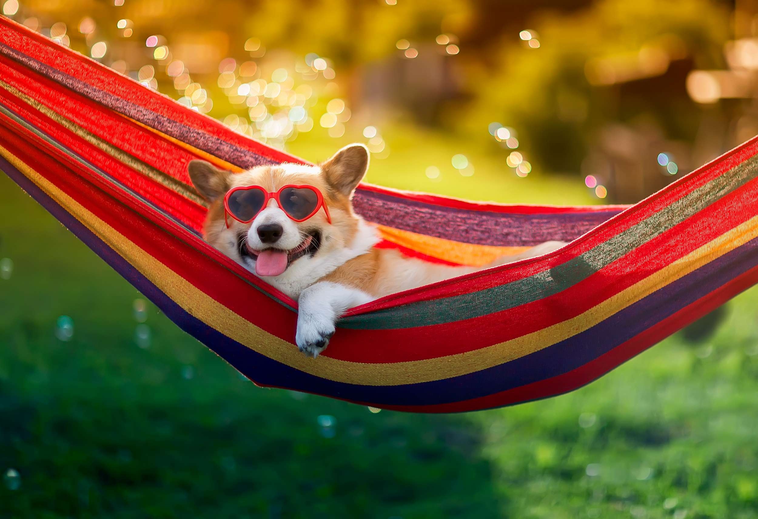 Hamak ogrodowy EDEN LAVA w paski - obrazek 4