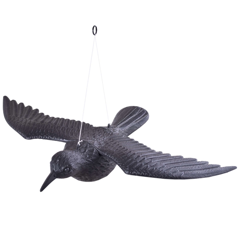 Kruk w locie - odstraszacz gołębi i innych ptaków - obrazek 2