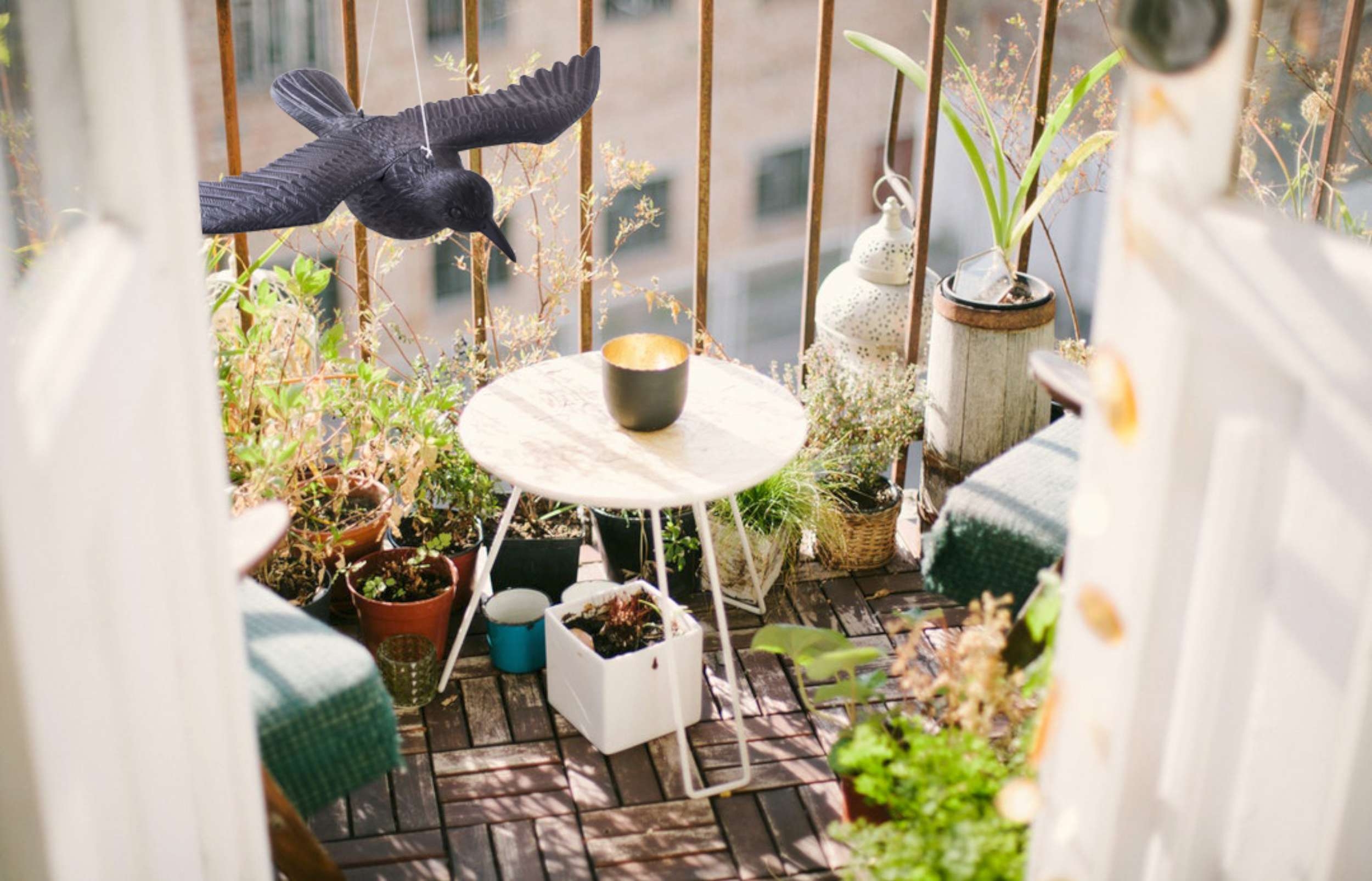 Kruk w locie - odstraszacz gołębi i innych ptaków - obrazek 9