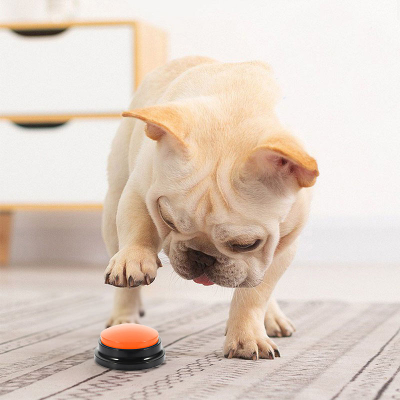 Zestaw 4 przycisków komunikacyjnych dla psa TALKER - obrazek 9