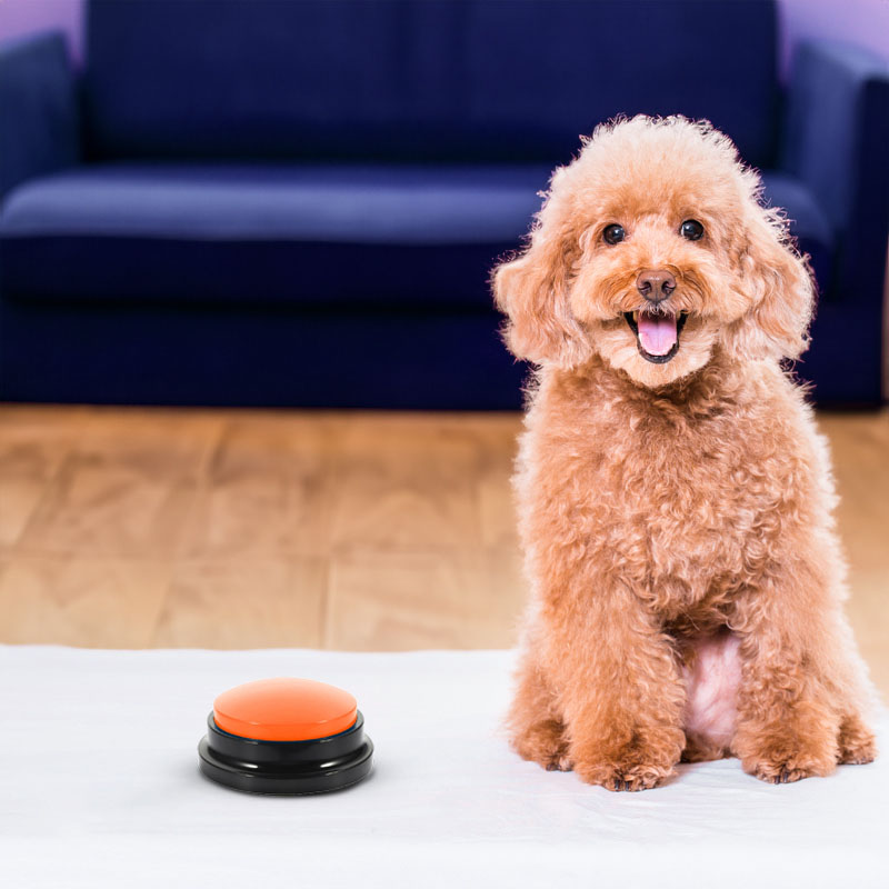 Zestaw 4 przycisków komunikacyjnych dla psa TALKER - obrazek 10