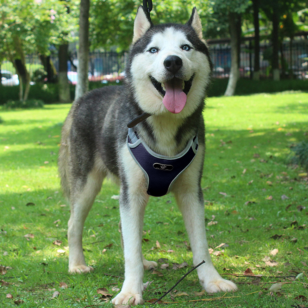 Szelki treningowe spacerowe dla psa ASTRO granatowe rozmiar L - obrazek 3
